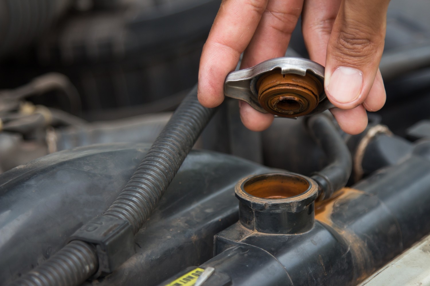 Fuel system clean and maintenance